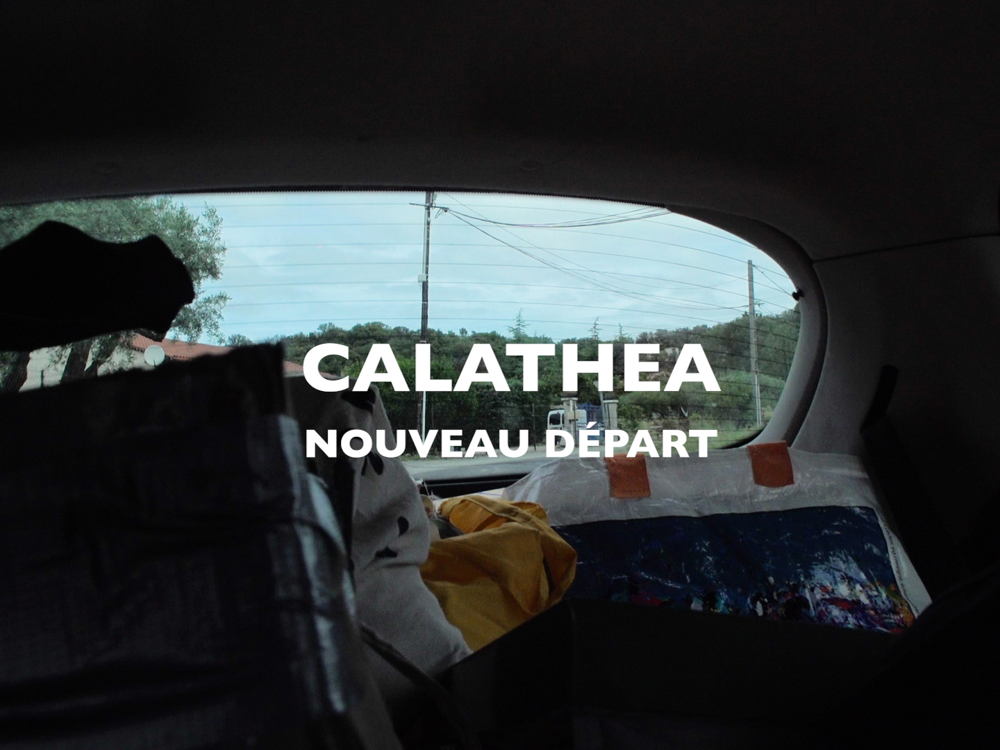 robin-lachal-calathea14