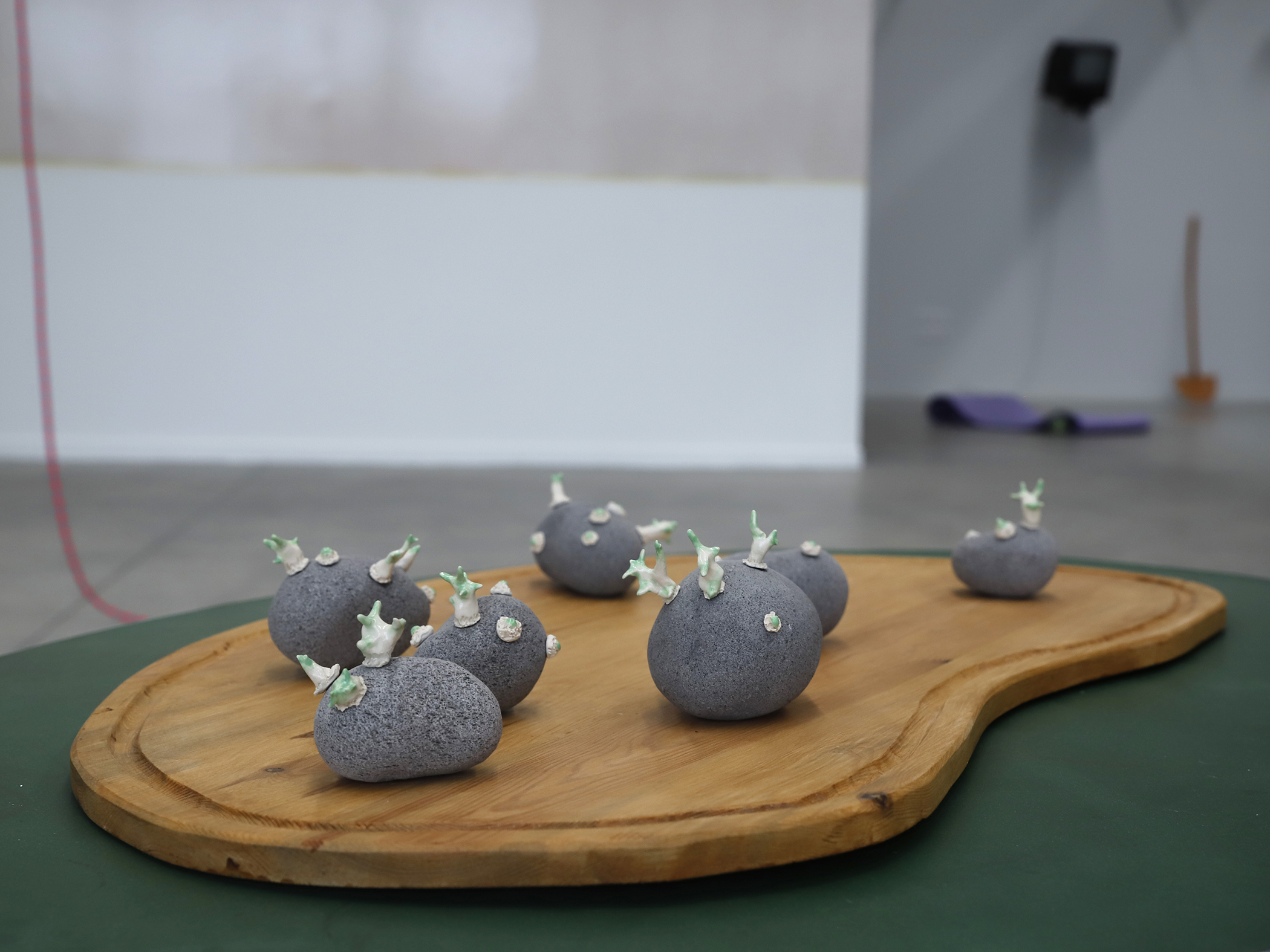 robin-lachal-patate2