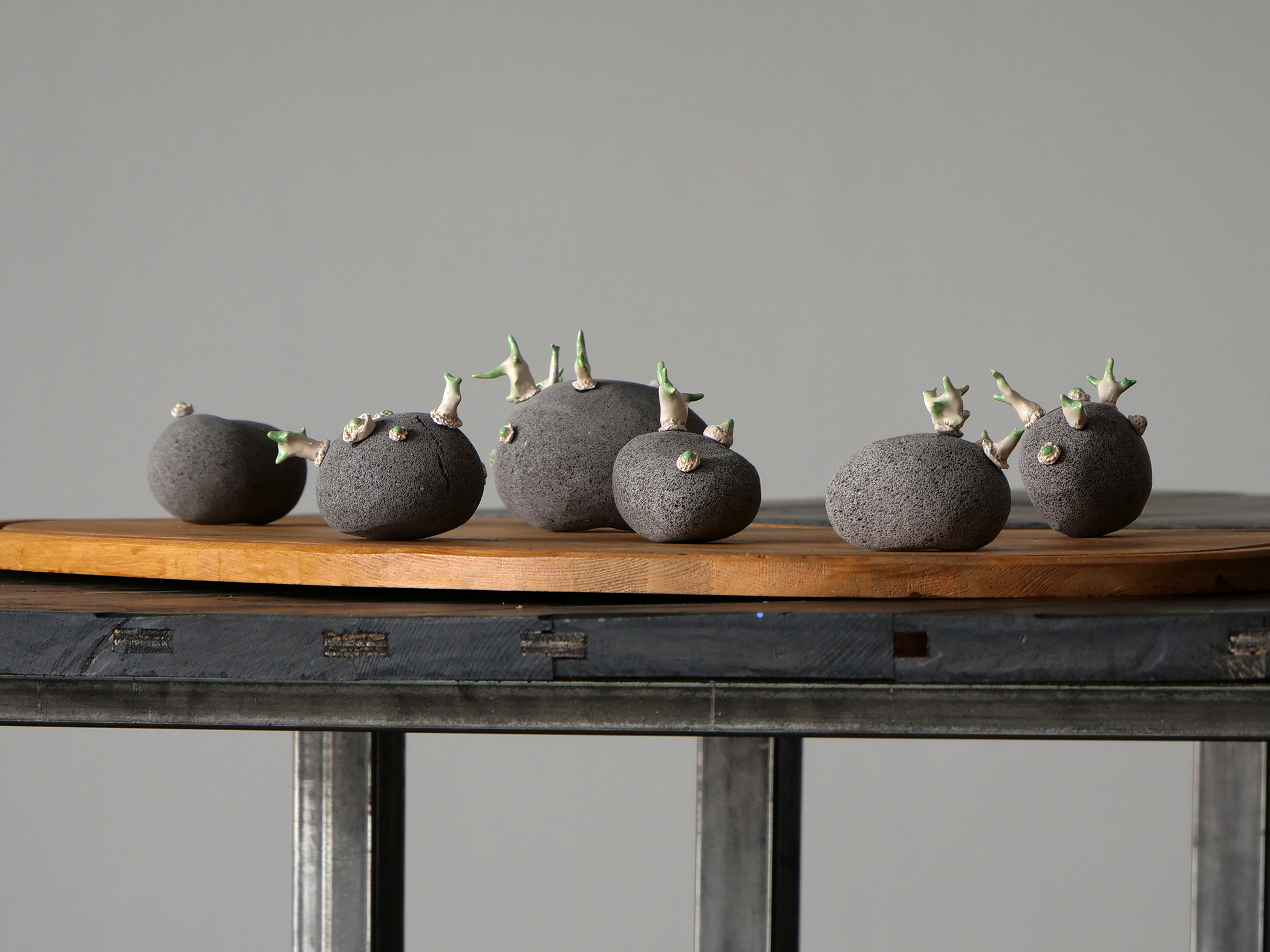 robin-lachal-patate5