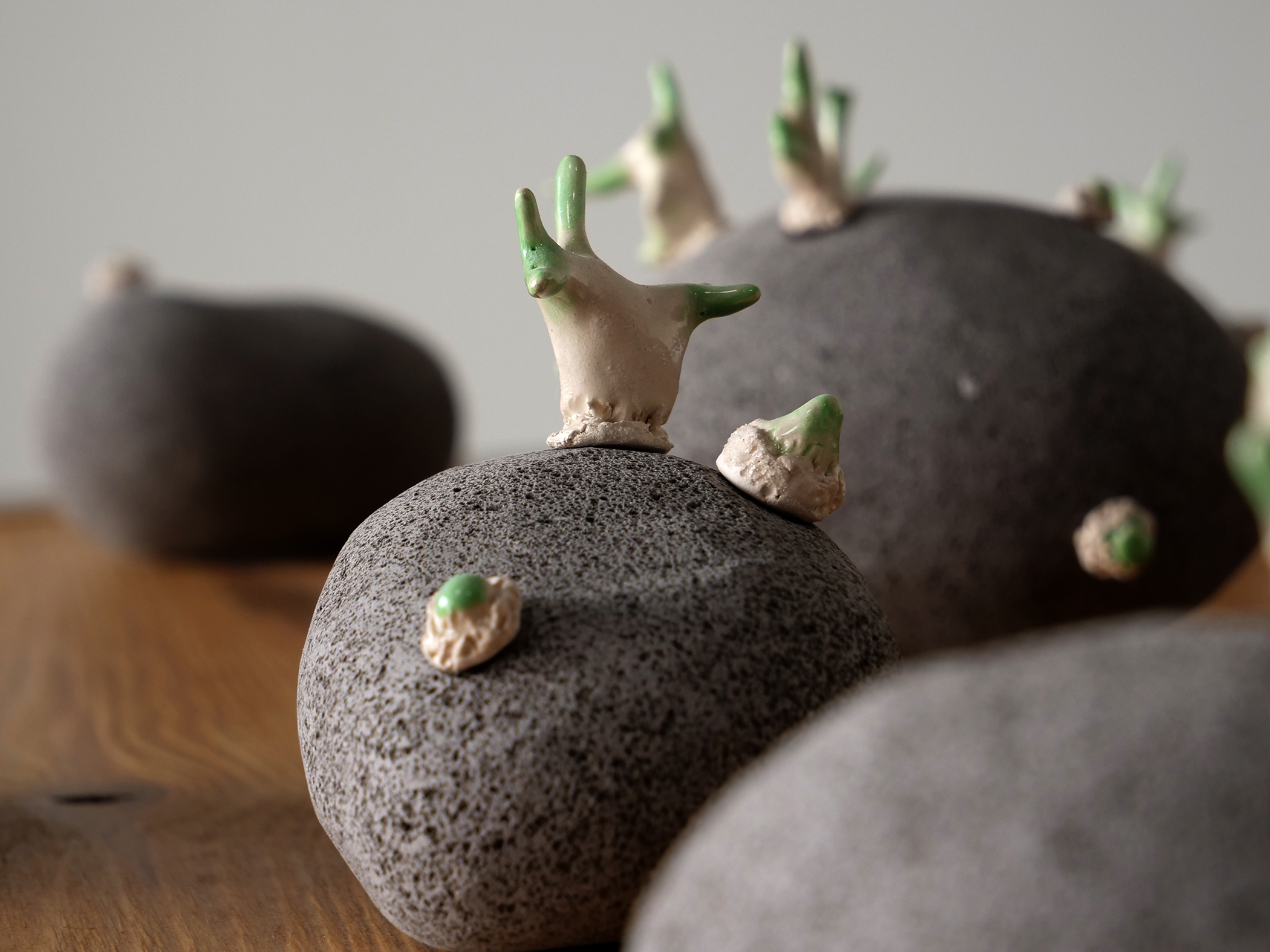 robin-lachal-patate6