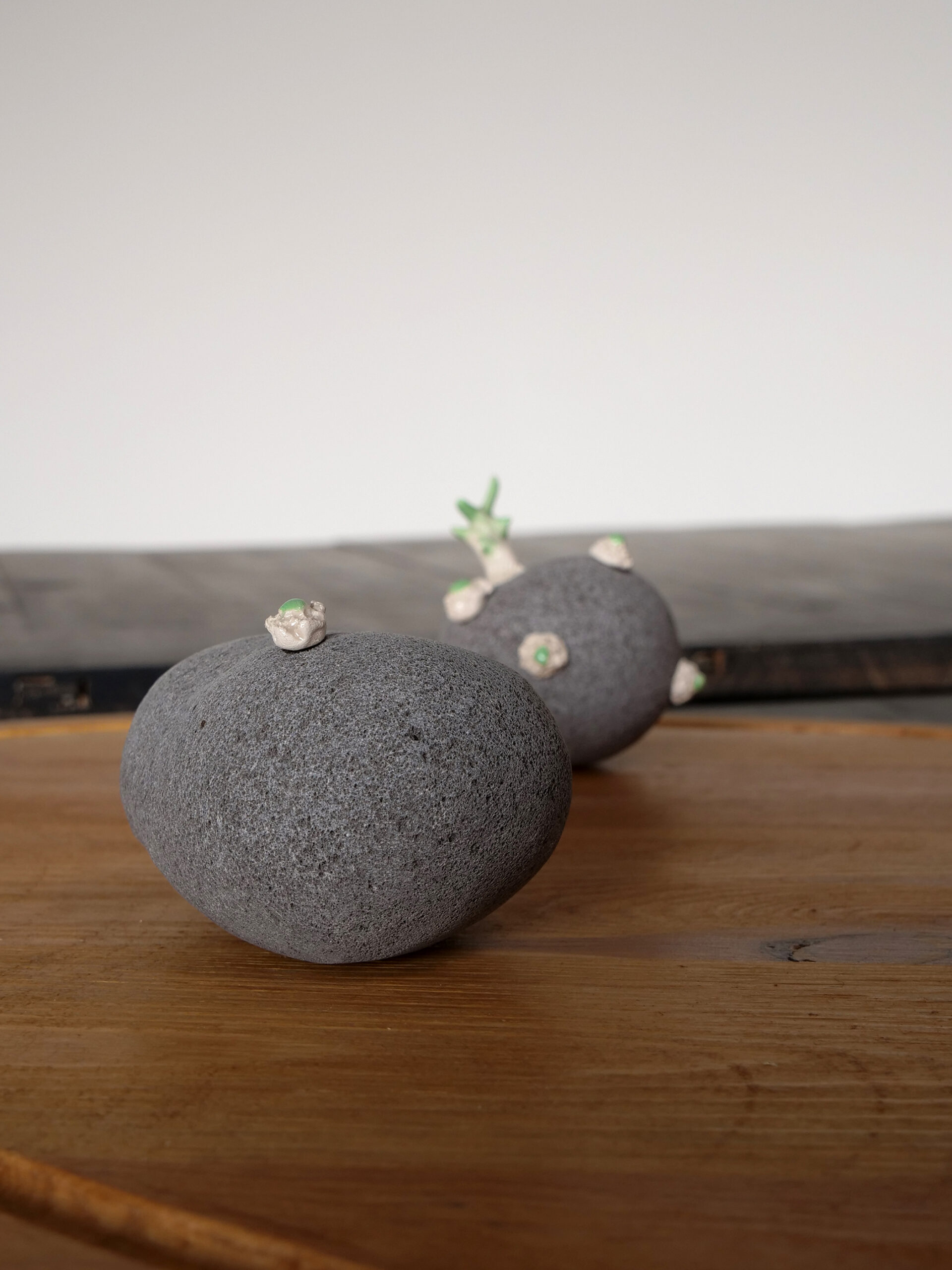 robin-lachal-patate7