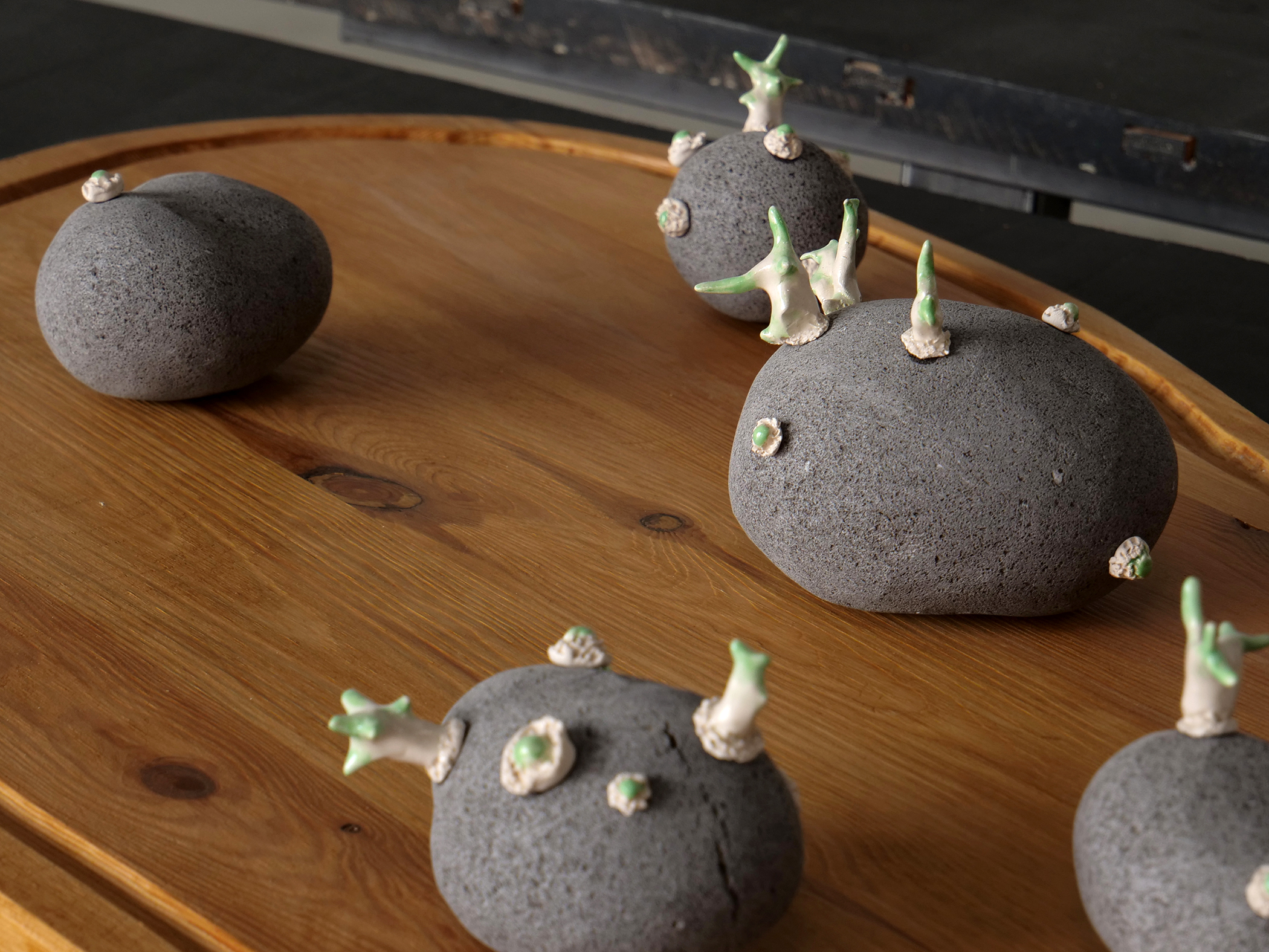 robin-lachal-patate8