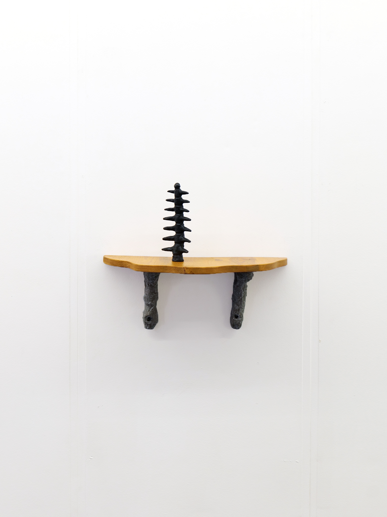 robin-lachal-fossile2
