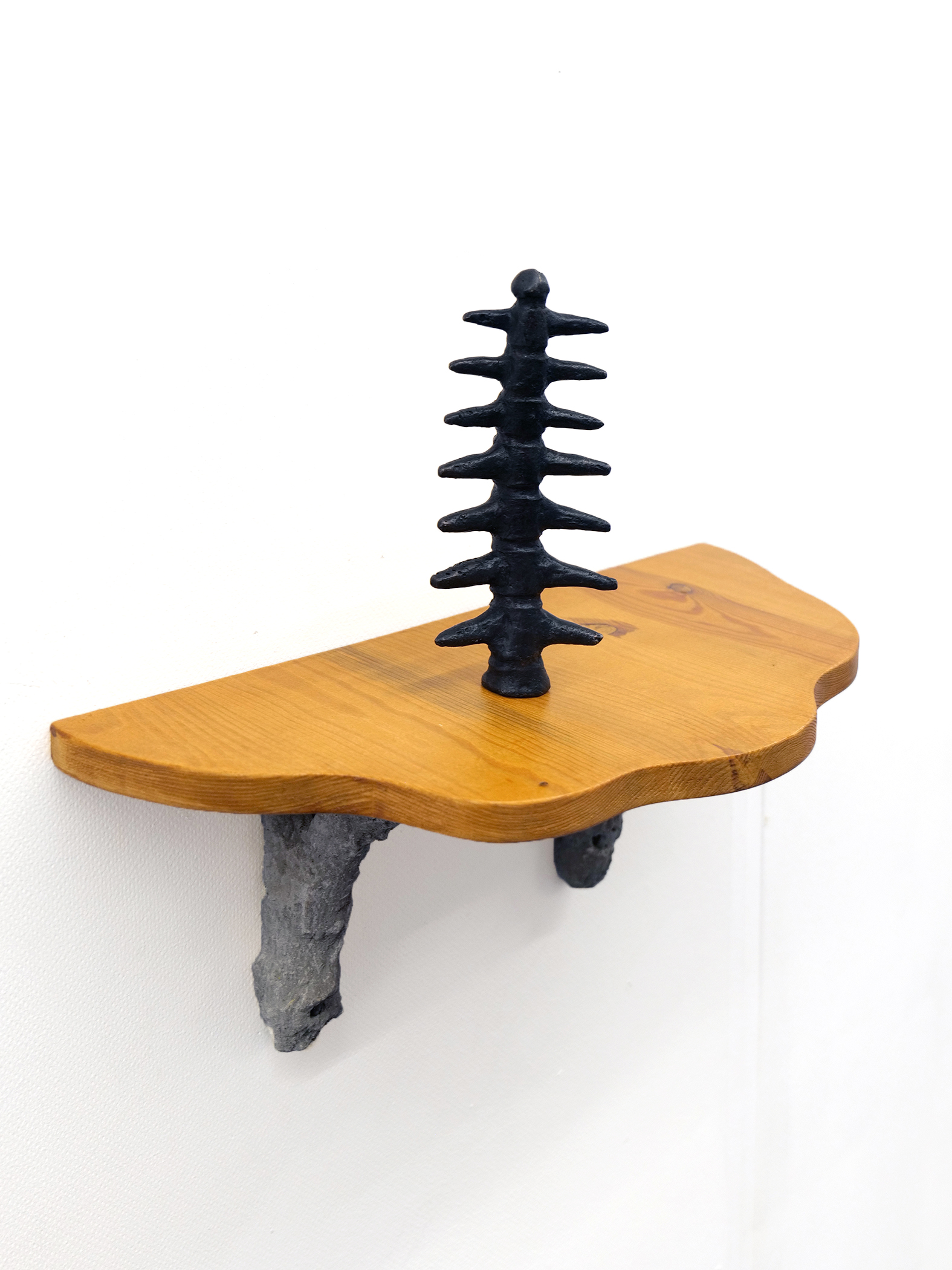 robin-lachal-fossile6