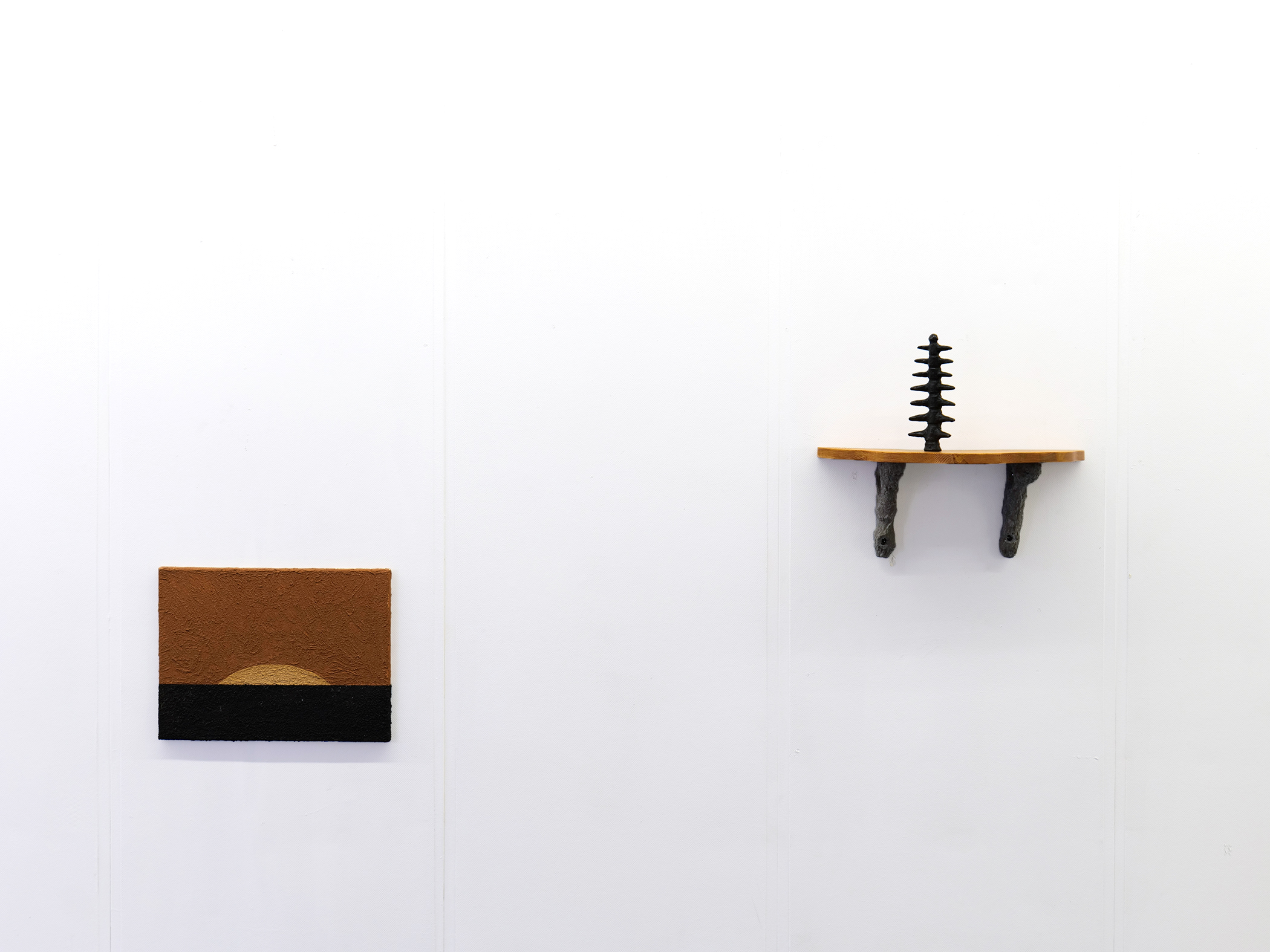 robin-lachal-fossile8