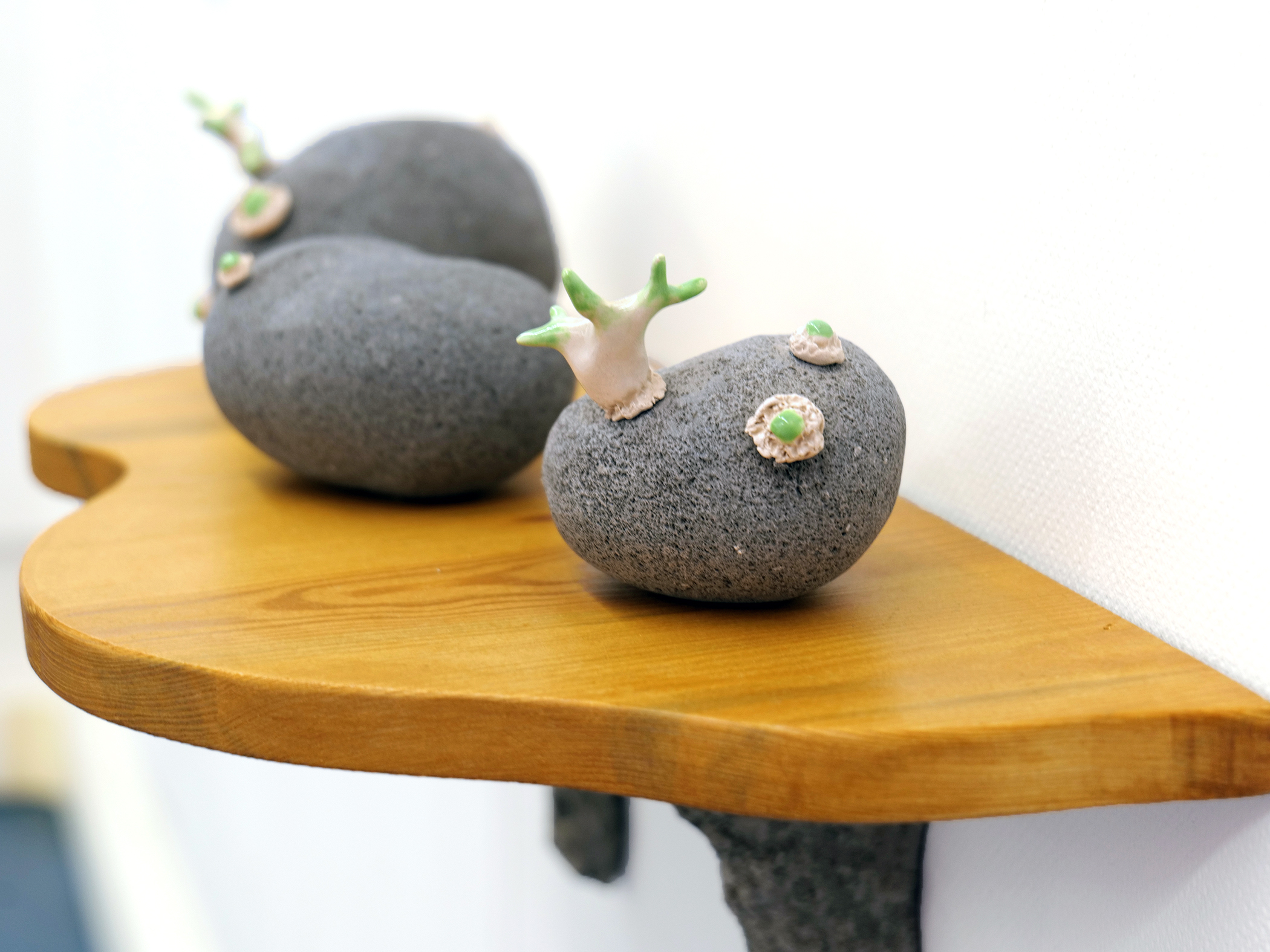 robin-lachal-patate10