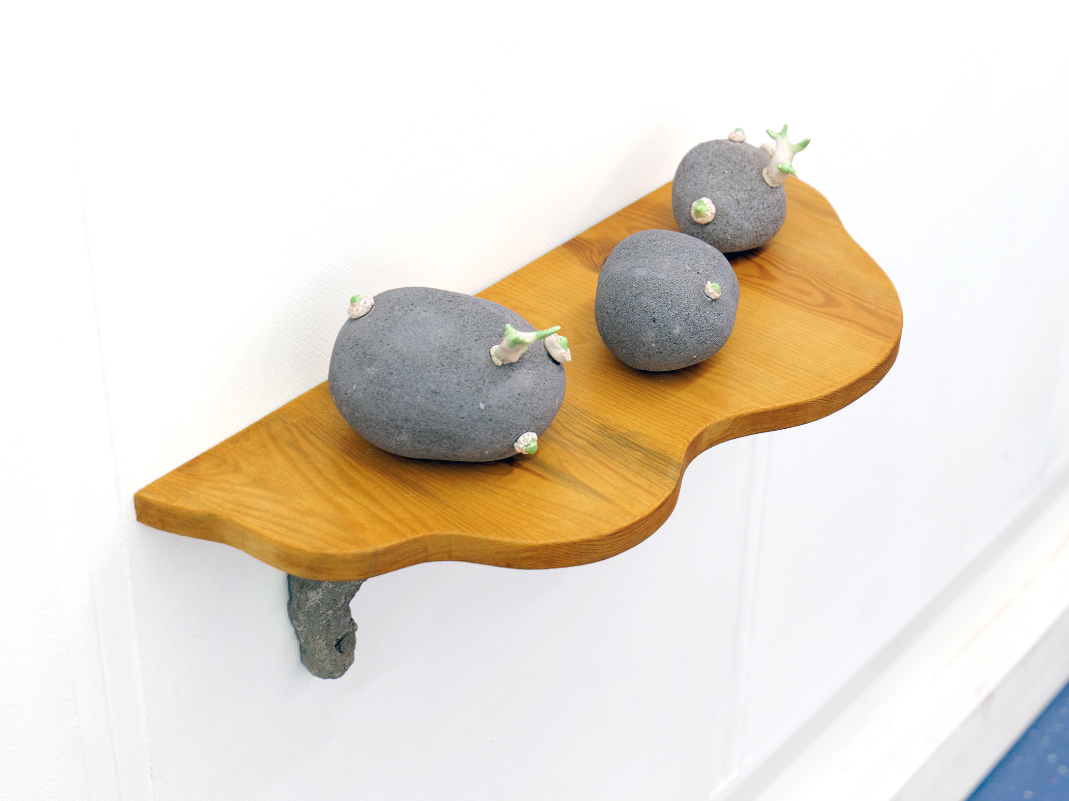 robin-lachal-patate12