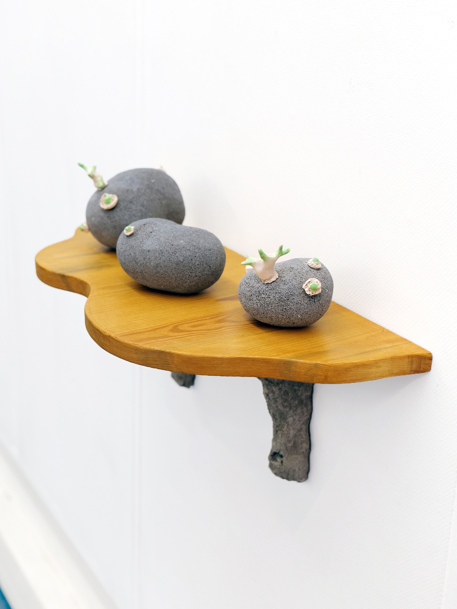 robin-lachal-patate13