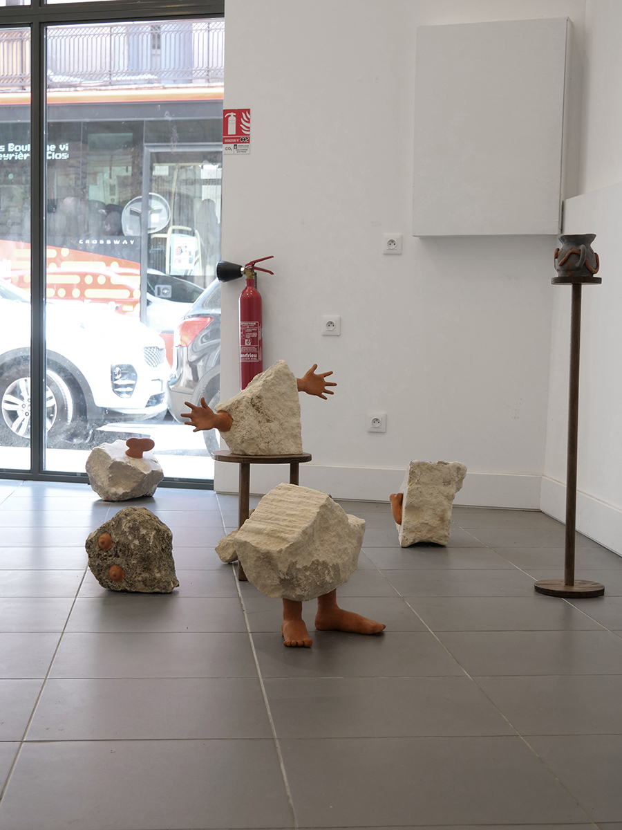 robin-lachal-eboulis