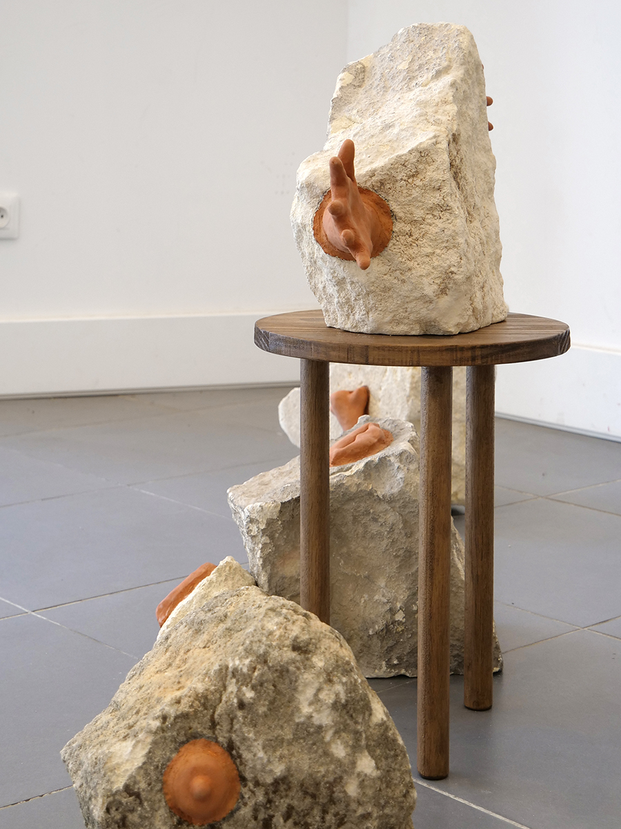 robin-lachal-eboulis7